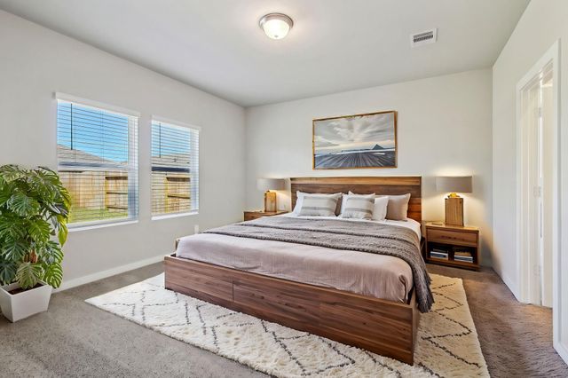 17427 Butterfly Orchid Lane, Waller, TX 77484