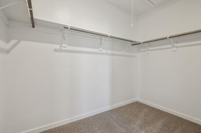 17427 Butterfly Orchid Lane, Waller, TX 77484