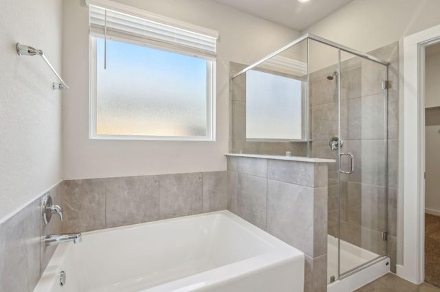 17427 Butterfly Orchid Lane, Waller, TX 77484