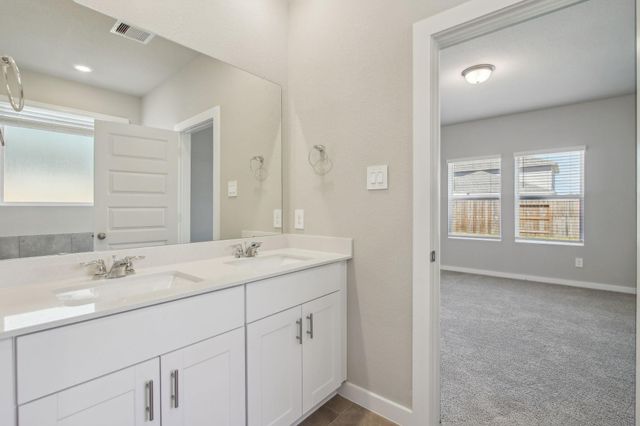 17427 Butterfly Orchid Lane, Waller, TX 77484