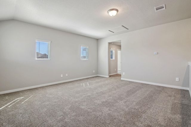 17427 Butterfly Orchid Lane, Waller, TX 77484