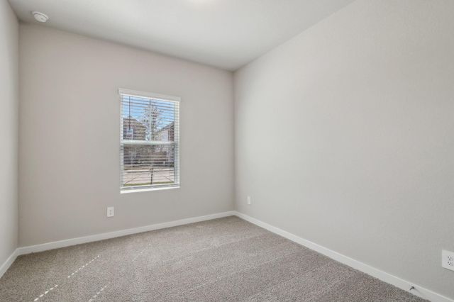 17427 Butterfly Orchid Lane, Waller, TX 77484