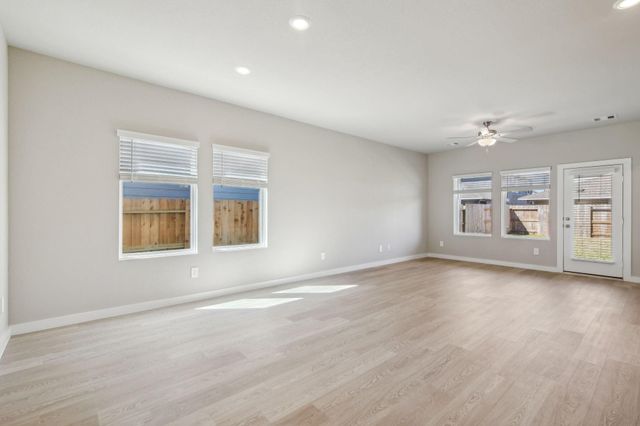 17427 Butterfly Orchid Lane, Waller, TX 77484