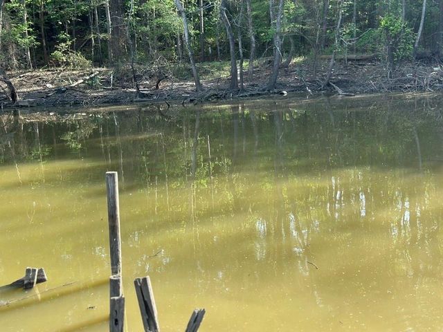 8 Lake View Drive, Huntsville, TX 77320