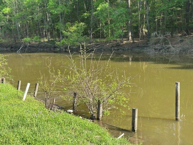 8 Lake View Drive, Huntsville, TX 77320