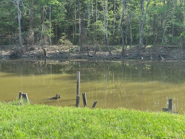 8 Lake View Drive, Huntsville, TX 77320