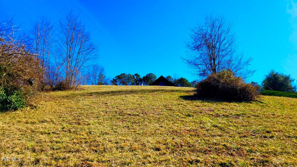 Lot 87 Harbour View Road, Butler, TN 37640