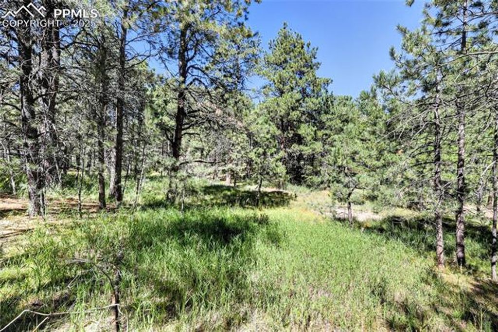 18380 Black Squirrel Road, Colorado Springs, CO 80908 — photo 5