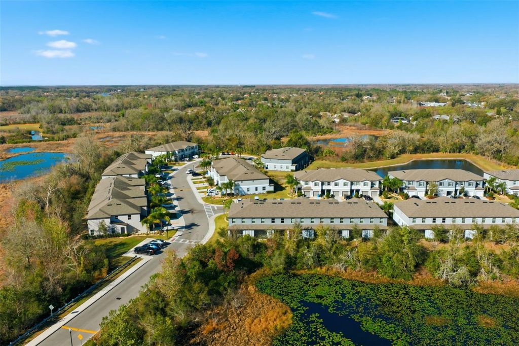 Image 38 of property listing at 1488 CASSIUS STREET, Lutz, FL 33549