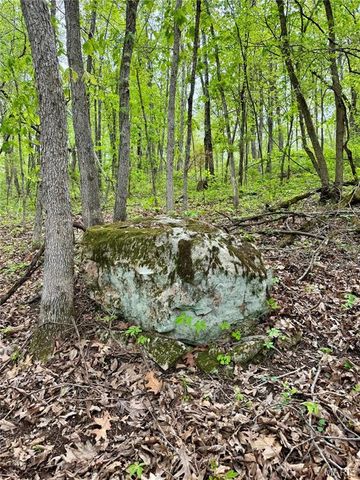 0 Hank Lane, Dixon, MO 65459