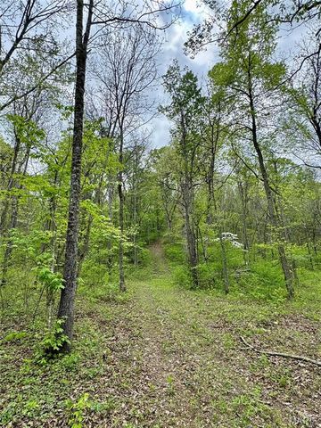 0 Hank Lane, Dixon, MO 65459