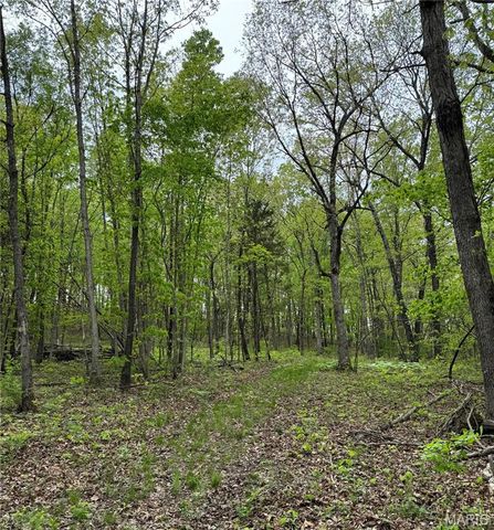 0 Hank Lane, Dixon, MO 65459