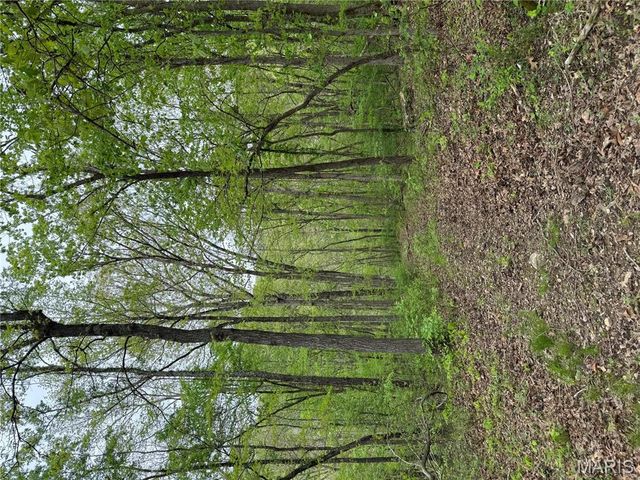 0 Hank Lane, Dixon, MO 65459