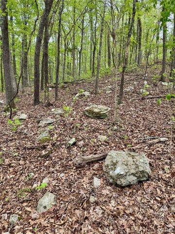 0 Hank Lane, Dixon, MO 65459