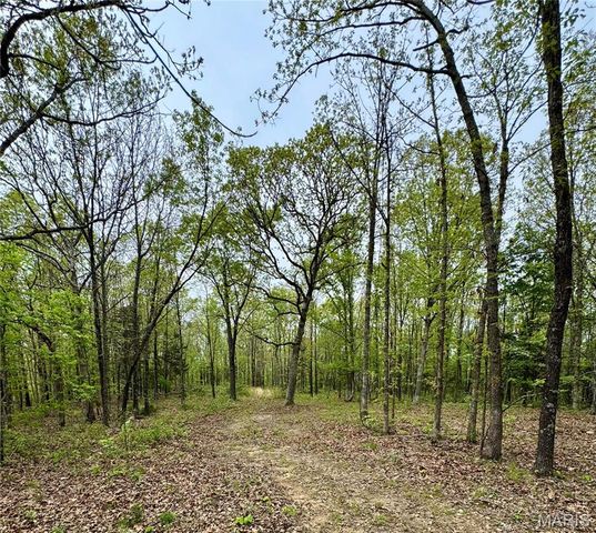 0 Hank Lane, Dixon, MO 65459