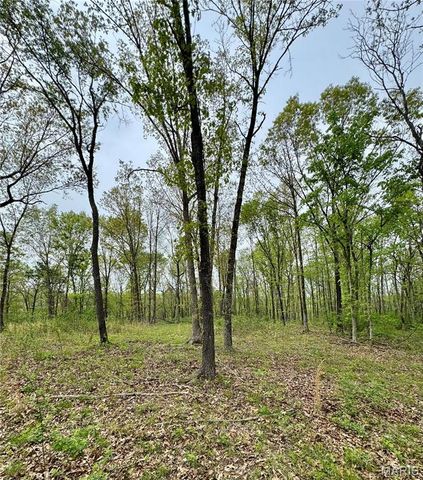 0 Hank Lane, Dixon, MO 65459