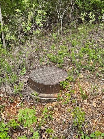 0 Hank Lane, Dixon, MO 65459