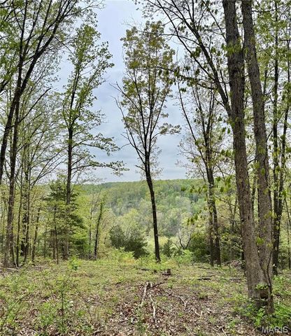 0 Hank Lane, Dixon, MO 65459
