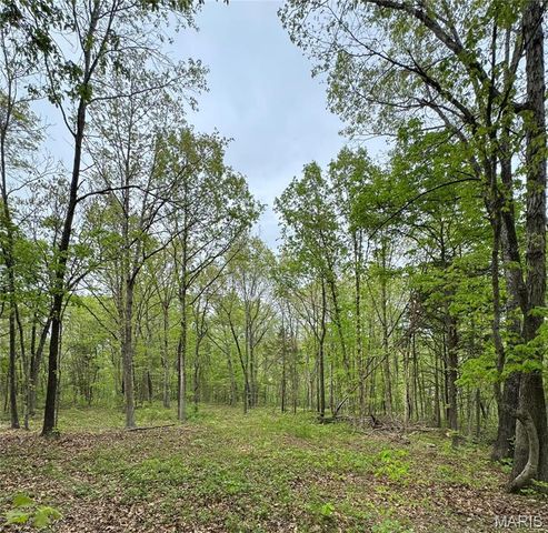 0 Hank Lane, Dixon, MO 65459