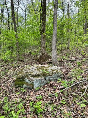 0 Hank Lane, Dixon, MO 65459