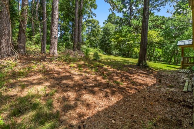 480 Caney Creek Drive, Livingston, TX 77351