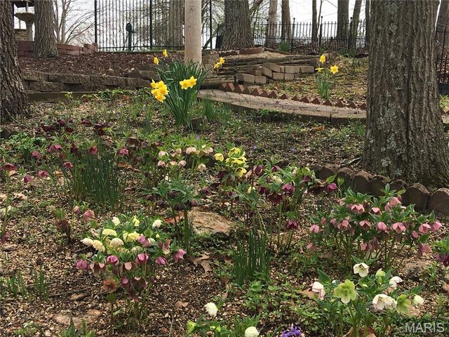 1315 Ridge Road, Wildwood, MO 63021