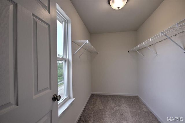 9768 Wilderness Battle Circle, St Louis, MO 63123