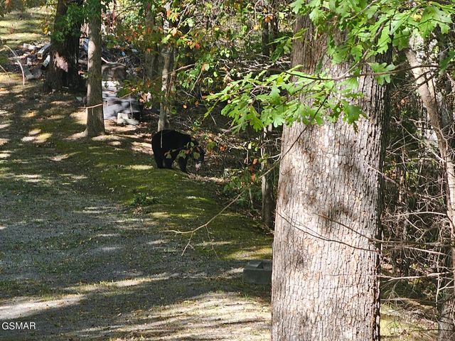 Lot 7-AR Village Circle, Sevierville, TN 37862
