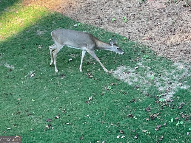 1002 FARMINGTON Road LOT 30, Griffin, GA 30224