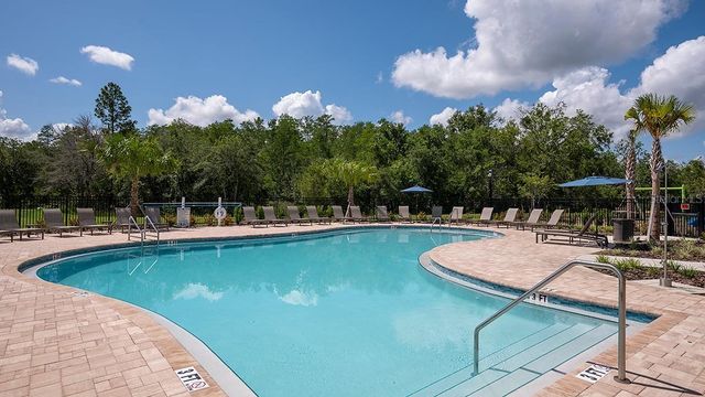 2919 SKYLINE LOOP, Kissimmee, FL 34758