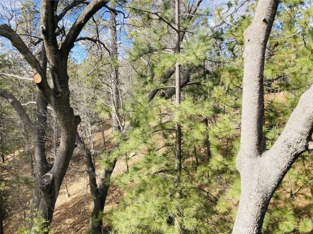 27657 Peninsula, Lake Arrowhead, CA 92352