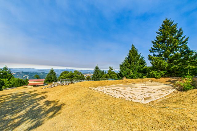 26092 Dyerville Loop Road, Garberville, CA 95542