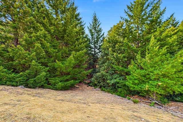 26092 Dyerville Loop Road, Garberville, CA 95542