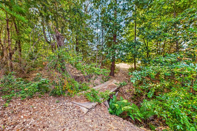 26092 Dyerville Loop Road, Garberville, CA 95542