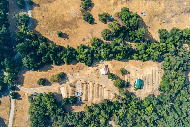 26092 Dyerville Loop Road, Garberville, CA 95542