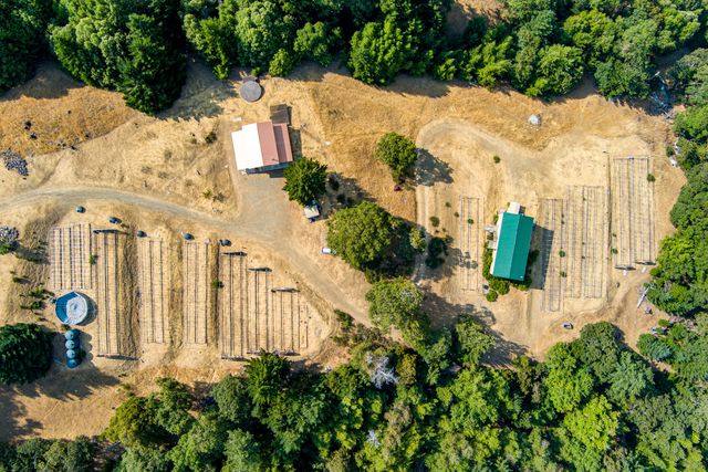 26092 Dyerville Loop Road, Garberville, CA 95542