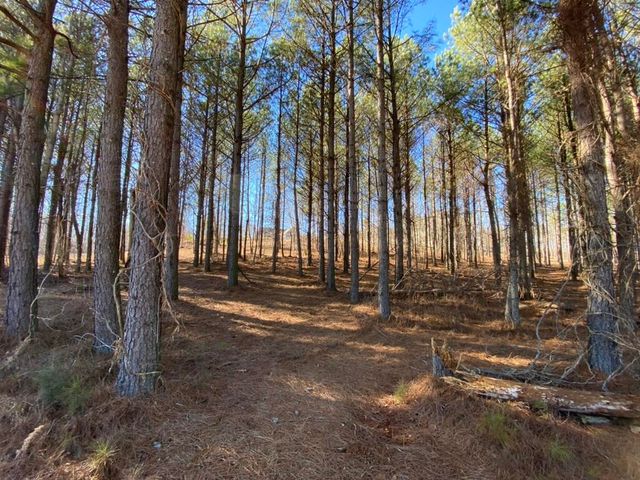 0 Lookout View Drive 165, Jasper, TN 37347