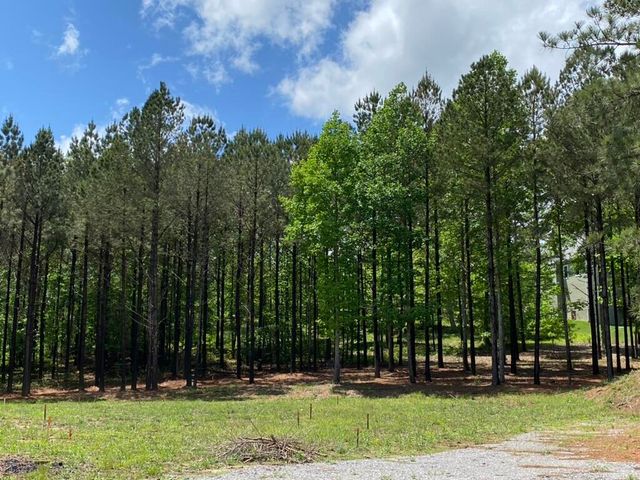 0 Lookout View Drive 165, Jasper, TN 37347