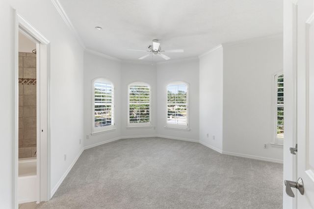 12003 Carriage Hill Drive, Houston, TX 77077