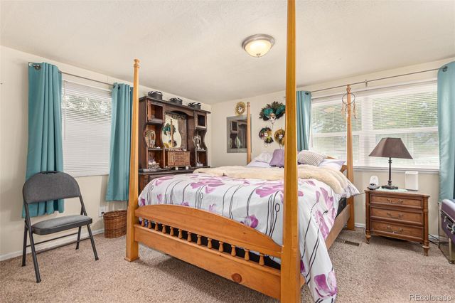 17190 Mt Vernon Road, Golden, CO 80401