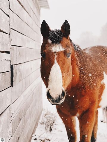 2526 Lake Ann Road, Interlochen, MI 49643