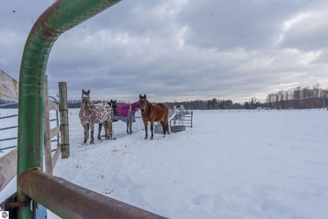 2526 Lake Ann Road, Interlochen, MI 49643