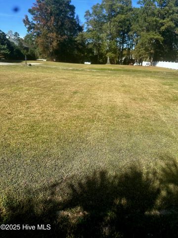 199 Briary Run Road, Kinston, NC 28501