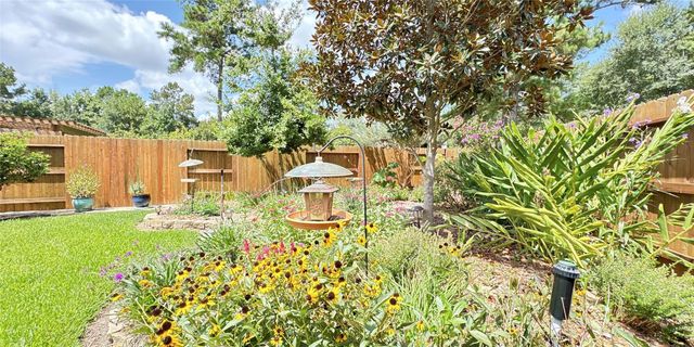 217 Southern Iris Court, Montgomery, TX 77316