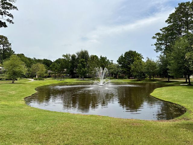 217 Southern Iris Court, Montgomery, TX 77316