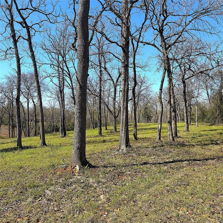 1264 County Road 1463, Centerville, TX 75833