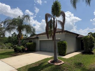 10130 ROSE PETAL PLACE, Riverview, FL 33578