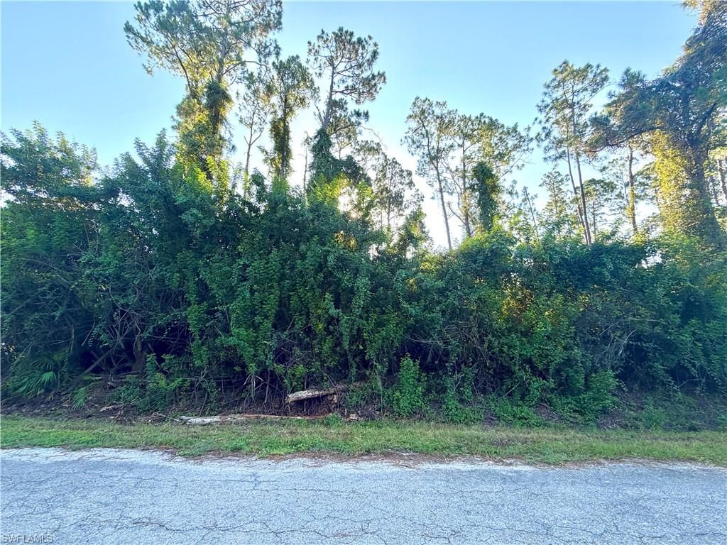1206 James AVE, LEHIGH ACRES, FL 33972 — photo 3
