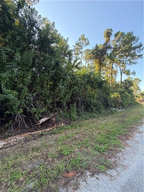1206 James AVE, LEHIGH ACRES, FL 33972 — photo 4