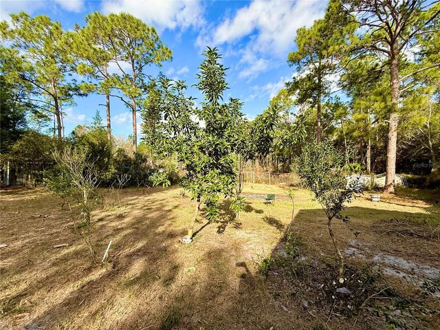 276 SHERYL DRIVE, Deltona, FL 32738